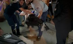 Düğünde bıçaklı kavga: 1 ağır yaralı
