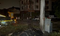 Yok böyle olay! Anız yangını tüm mahallenin elektriğini kesti