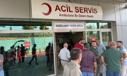 Birecik'te arazi kavgası: Ölü ve yaralılar var