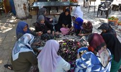 Gaziantep'te kadınların imece usulü kurutmalık telaşı