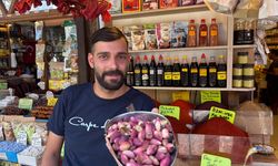 Gaziantep'te yeni mahsul Antep fıstığı tezgaha indi