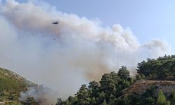 Mersin'de orman yangını: 5 ilden takviye