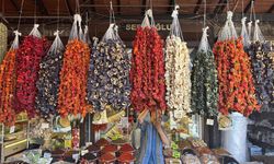 Gaziantep'te yeni mahsul kurutmalıklar tezgahlarda