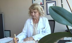 Chikungunya virüsü için telaş edilecek bir şey yok
