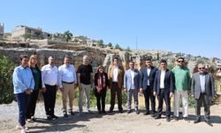 Dülük dünyaya tanıtılmalı