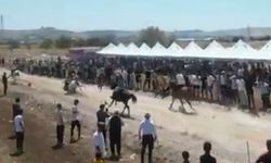 Gaziantep’te AK Partili başkan attan düştü! Hastaneye kaldırıldı