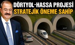 Dörtyol‑Hassa Projesi, stratejik öneme sahip