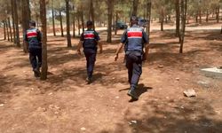 Gaziantep’te orman yangınlarına karşın sıkı tedbir! Jandarma teyakkuzda