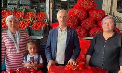Tahmazoğlu’ndan flaş hamle! Tarladan tüketiciye satış başladı…