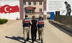 Gaziantep’te yasadışı kenevir ekimine jandarma operasyonu