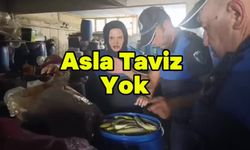 Gaziantep’te tonlarca ürüne el konuldu: 1 İş yeri kapatıldı!