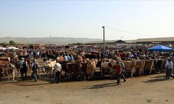 Bakan açıkladı: Kapatılan hayvan pazarları açılıyor!