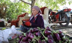 Gaziantep'te kurutmalık mesaisi sürüyor