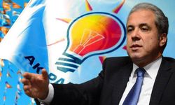 Tayyar’dan AK Parti’deki istifalarla ilgili dikkat çeken yorum! Teşkilatlara neşter vurulması gerekiyordu…
