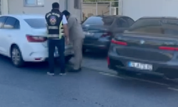 Arabasına "Resmi hizmete mahsustur" yazan mankenin aracına ceza kesildi