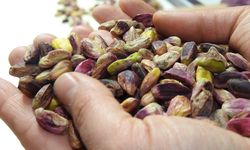 Dünyanın en iyi 100 mutfağı belli oldu! TasteAtlas listesinde Antepfıstığı detayı...