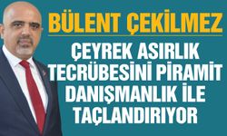 Bülent Çekilmez, çeyrek asırlık tecrübesini Piramit Danışmanlık ile taçlandırıyor! Sektöre yeni bir soluk getirecek