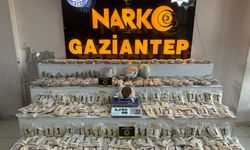 Gaziantep’te zehir tacirlerine büyük darbe: 203 Kişi tutuklandı!