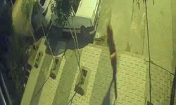 Faciadan dönüldü! Freni patlayan araç çocukların arasına böyle daldı