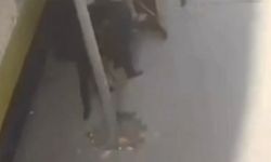 Ortalığın savaş alanına döndüğü kavgada 1 kişi öldü, 5 kişi yaralandı