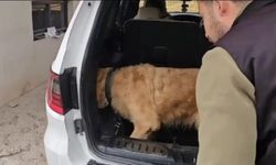 Gümrük muhafaza ekipleri önemli bir başarıya imza attı!