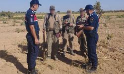 Gaziantep'te yasağa uymayan şahsa işlem