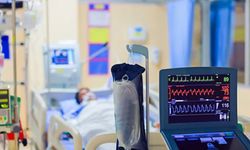 Bolu’da görüldü! Deli dana hastalığı nedir, belirtileri neler, nasıl bulaşır?