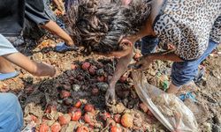 Gazze’de hayatta kalma mücadelesi! Çöplerden yiyecek topluyorlar