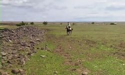 Gaziantep’in komşu ilinde ilginç anlar! İzleyenleri hem şaşırttı hem güldürdü