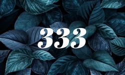 333 Ne Demek, 333 Sayısının Anlamı Ne? | Numeroloji Yorumları