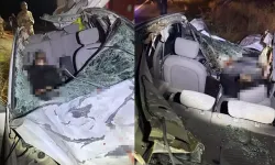 Trafik kazası can aldı! İki otomobil ile at çarpıştı: Ölü ve yaralılar var