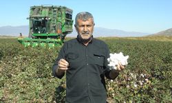 Gaziantep'te pamuk hasadı başladı