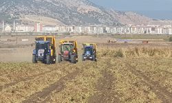 Sezon açıldı! Gaziantep'te yerfıstığı hasadı başladı