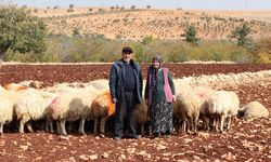 İkinci baharlarında belediyeden aldıkları destekle besici oldular