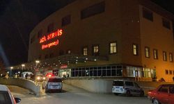 Hayvan otlatma kavgası kanlı bitti!  Önce komşusunu öldürdü, sonra canına kıydı