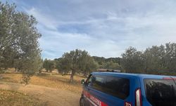 Zeytin hasadı başladı! Güvenlik önlemleri artırıldı