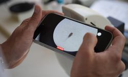 Gaziantep'te kuraklığın ardından sinek istilası başladı