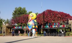 Gaziantep’te ara tatile çıkan öğrenciler soluğu hayvanat bahçesinde aldı
