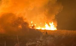 Kuş cennetinde yangın!