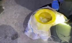 Bal kabağından uyuşturucu çıktı