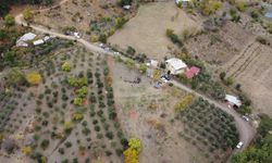 Dünyanın en pahalı baharatı Türkiye’de hasat edildi! Gramı 600 TL'den alıcı buluyor