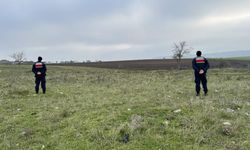 Mantar toplarken top mermisi buldular