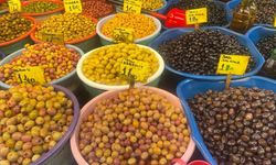 Zeytin alırken nelere dikkat edilmeli? Oleolog Kıvrak’tan şaşırtıcı ipuçları! Kaliteyi kaçırmayın…