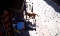 İnsanlık dışı olay: Sara nöbeti geçiren şahsı soydular!