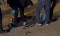 Gaziantep'in komşu ili Şanlıurfa'da bıçaklı kavga: Yaralılar var!