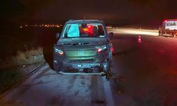 Yola çıkan dana kazaya neden oldu! Yaralılar var