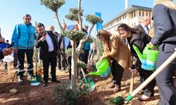 Gaziantep Büyükşehir Yeşilantep projesiyle şehrin yeşil alanlarını artırıyor