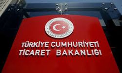 Gümrükte yeni dönem! Bakanlık yerli plakalı taşıtların gümrük işlemlerini hızlandırıyor