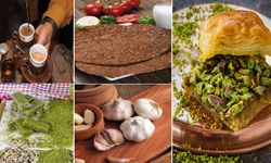 AB Tescilinde Gaziantep farkı! 5 ürünümüzü tescil ettik…