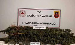 Gaziantep’te jandarmadan 132 zehir ve kaçakçılık olayına müdahale